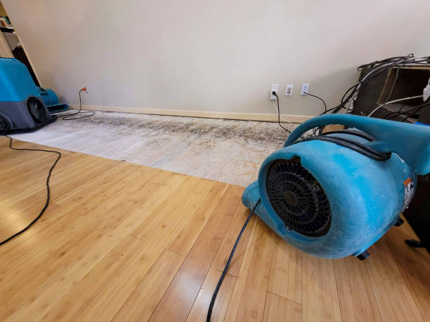 Professional Ceiling Water Damage Repair technician working in Encinal, TX